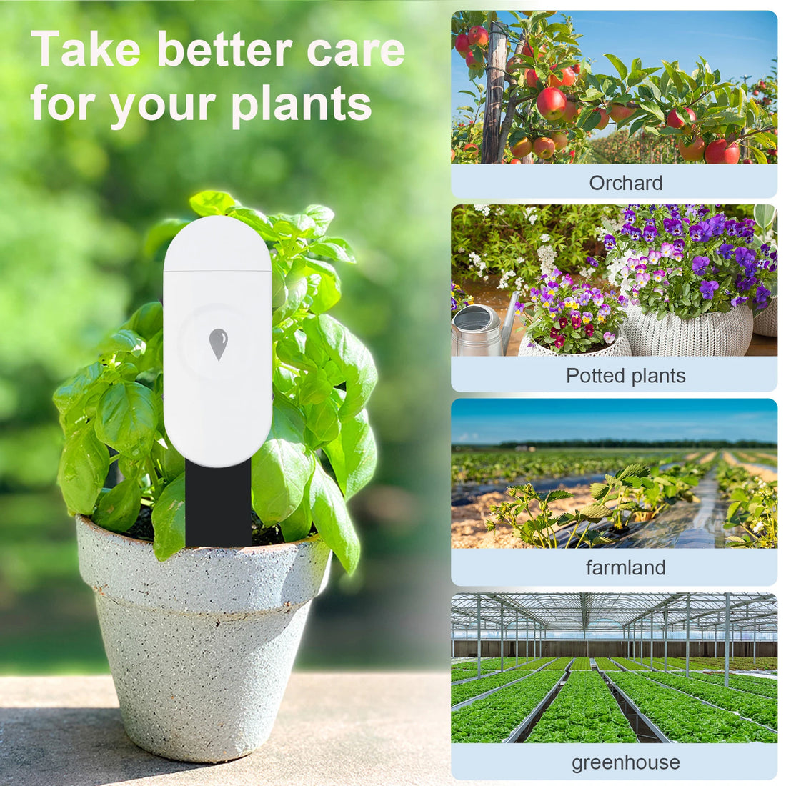 Tuya ZigBee Temperature & Soil Moisture Sensor