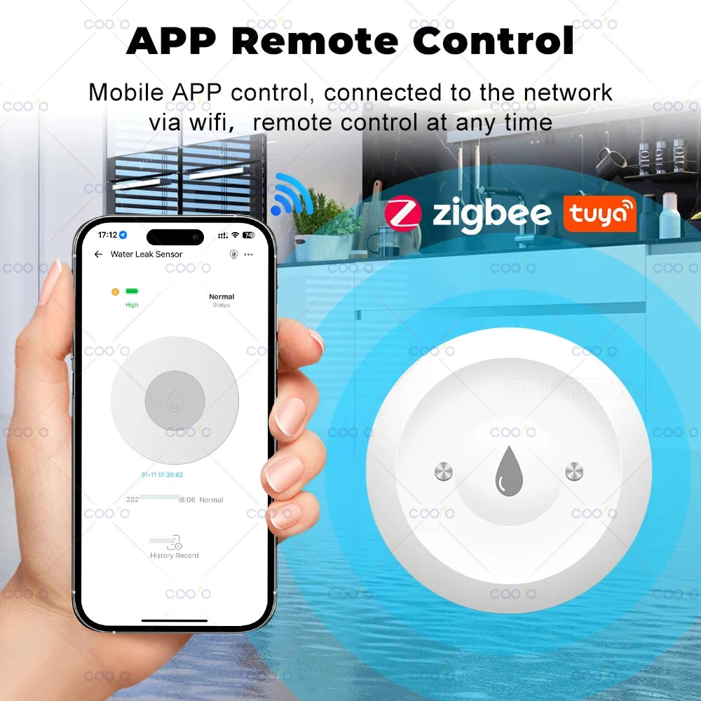 Ewelink Zigbee Smart Water Leak Sensor – Remote Flood Detector